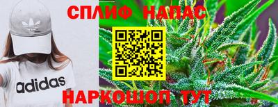 молекула духа Шебекино