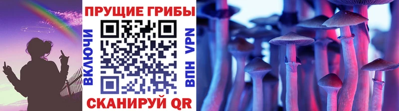сколько стоит  Алушта  ссылка на мегу как зайти  Галлюциногенные грибы Cubensis 